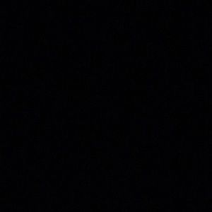 Meet your Posher, Darius